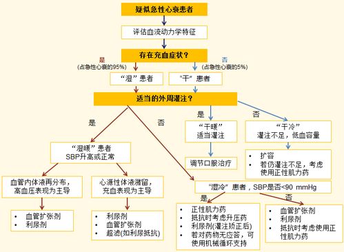 张宇辉教授 2016 esc和aha aha hfsa心力衰竭新指南解读 一 急性心力衰竭部分