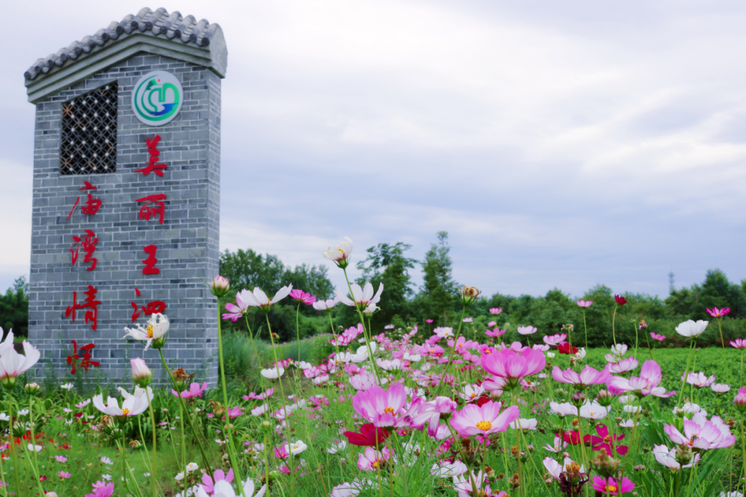 大邑春天国际食府电话_大邑春天国际美食_大邑县春天国际