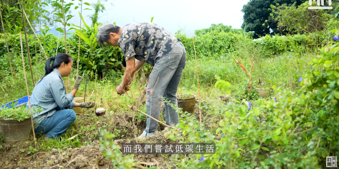 生活环境的照片_小度图片环境的生活方式_生活环境图画